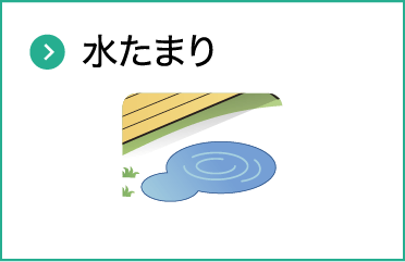 水たまり