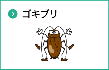 ゴキブリ