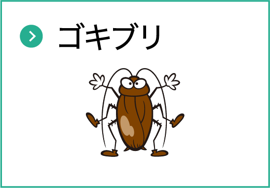 ゴキブリ