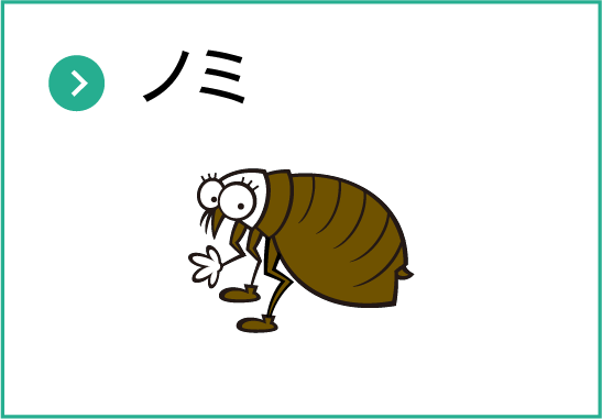 ノミ
