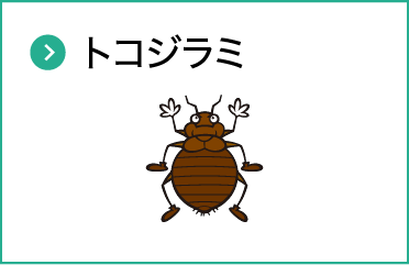 トコジラミ