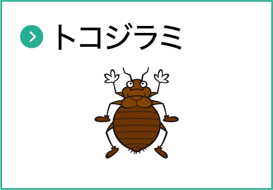 トコジラミ