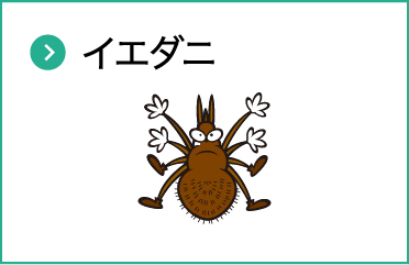 イエダニ