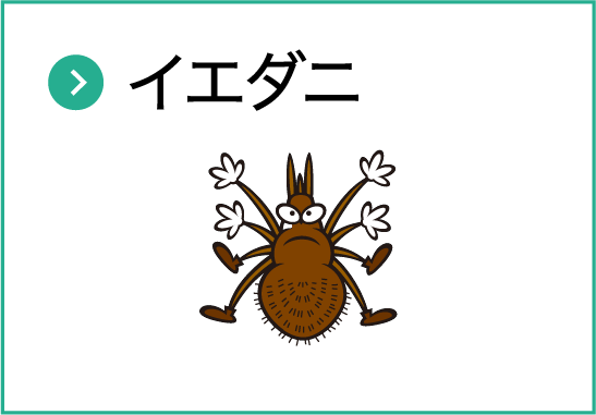 イエダニ
