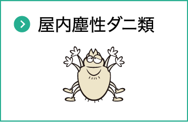 屋内塵性ダニ類