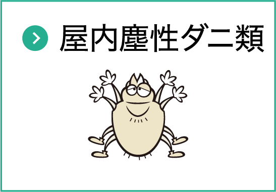 屋内塵性ダニ類