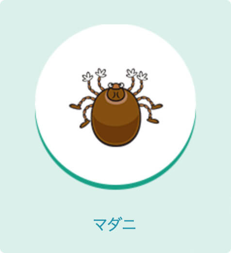 マダニ